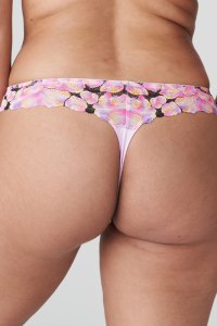 Tanga VIA ALEGRE, PrimaDonna